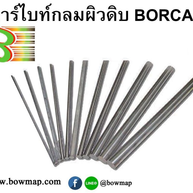 คาร์ไบด์กลมผิวดิบ BORCAM carbide-round-borcam