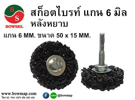 ลูกขัดลอกสี,ลูกขัดลอกสนิม